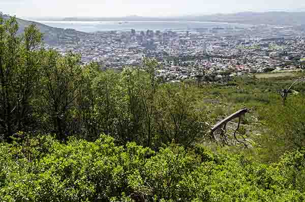 29 - Sudafrica - Ciudad del Cabo - panoramica